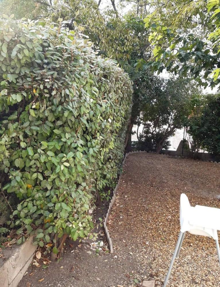 entretien de jardin