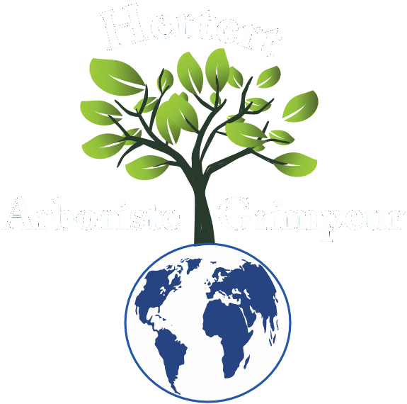 logo2